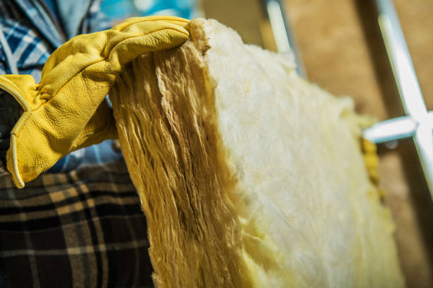 Best Specialty Insulation in Trumann, AR